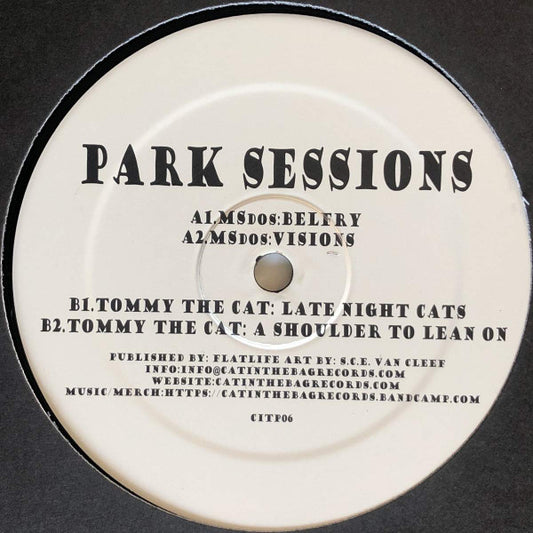 Various : Park Sessions 06 (12")