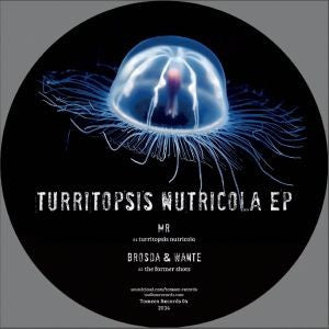 Various : Turritopsis Nutricola EP (12")