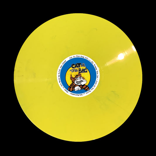 CAT CHASING THE MOUSE (CITB011)