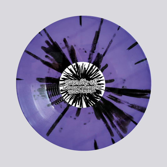 CAT IN THE BAG LIMITED 02