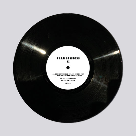 PARK SESSIONS 11