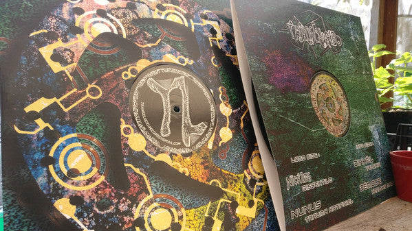 Various : Transelucid 07 (12")