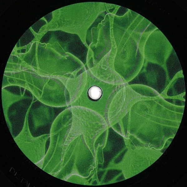 Meg Ward : Connections (12", EP)