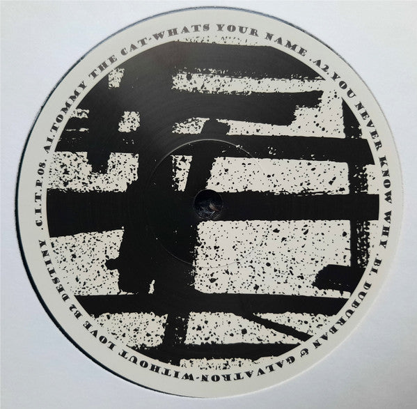 Various : Park Sessions 08 (12")