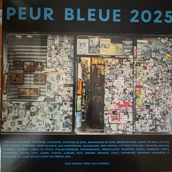 Various : Peur Bleue 2025 (2x12")