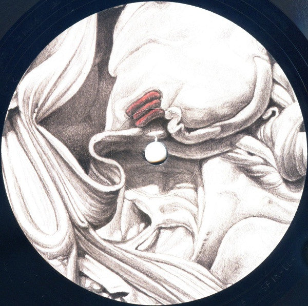 Various : Hyperfine Interaction (12")