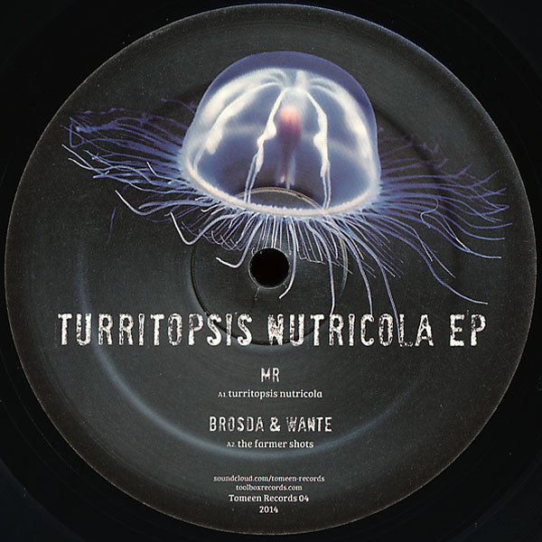 Various : Turritopsis Nutricola EP (12")