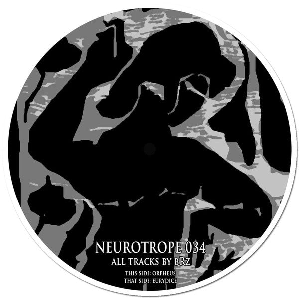 bRz : Neurotrope 034 (12")