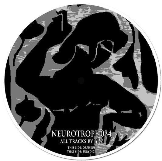 bRz : Neurotrope 034 (12")
