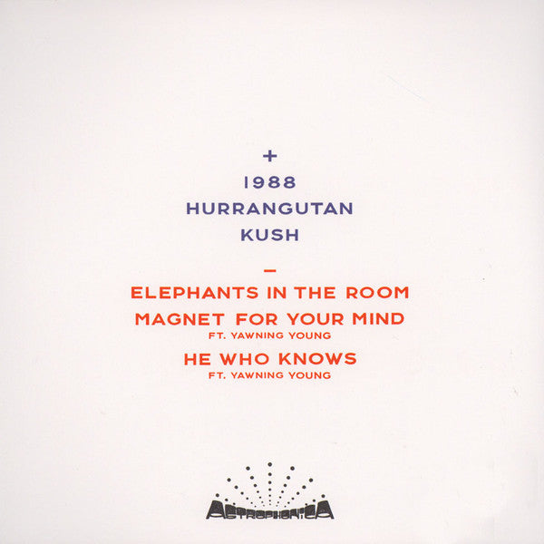 Tehbis + Touchy Subject : Magnet For Your Mind (12", EP)