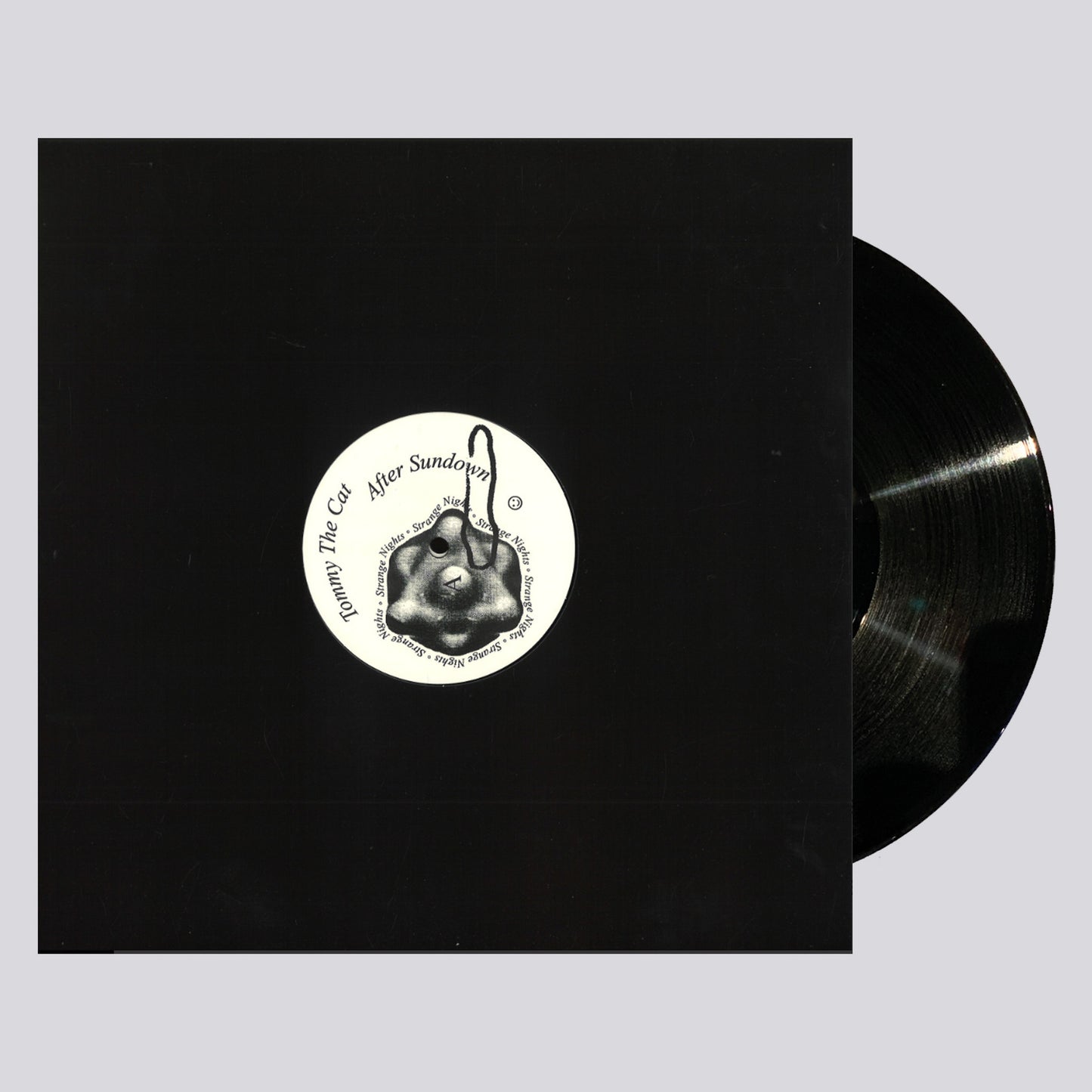 E-BEAMZ043 AFTER SUNDOWN TOMMY THE CAT