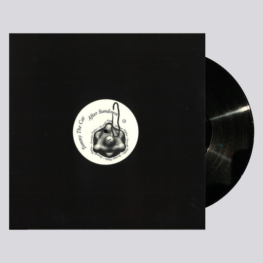 E-BEAMZ043 AFTER SUNDOWN TOMMY THE CAT